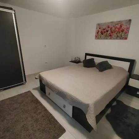 Dom wakacyjny Casa Luminita *
