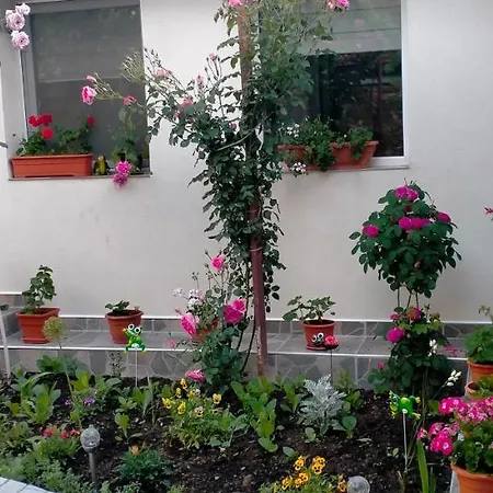 Dom wakacyjny Casa Luminita Ieşelniţa