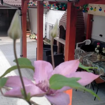Casa Luminita